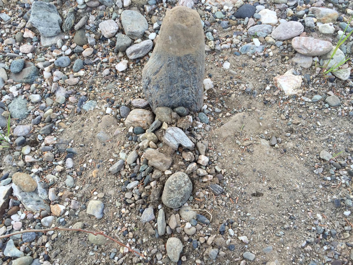 Bear Spray to Sea Spray Anchorage to Fairbanks (Alaska)