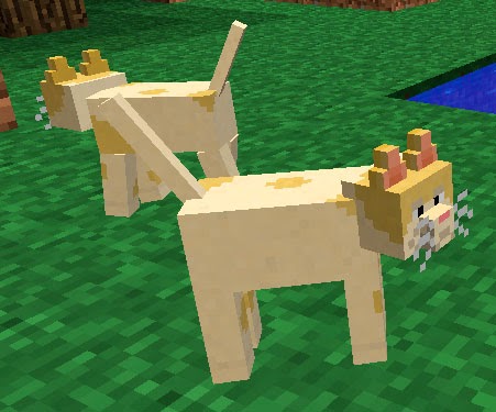 Mo' Creatures gatos Minecraft mod