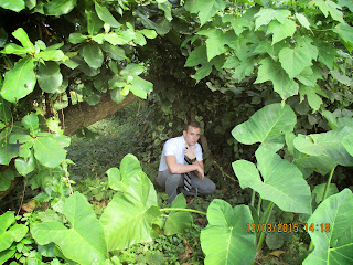 Tristan in the Jungle