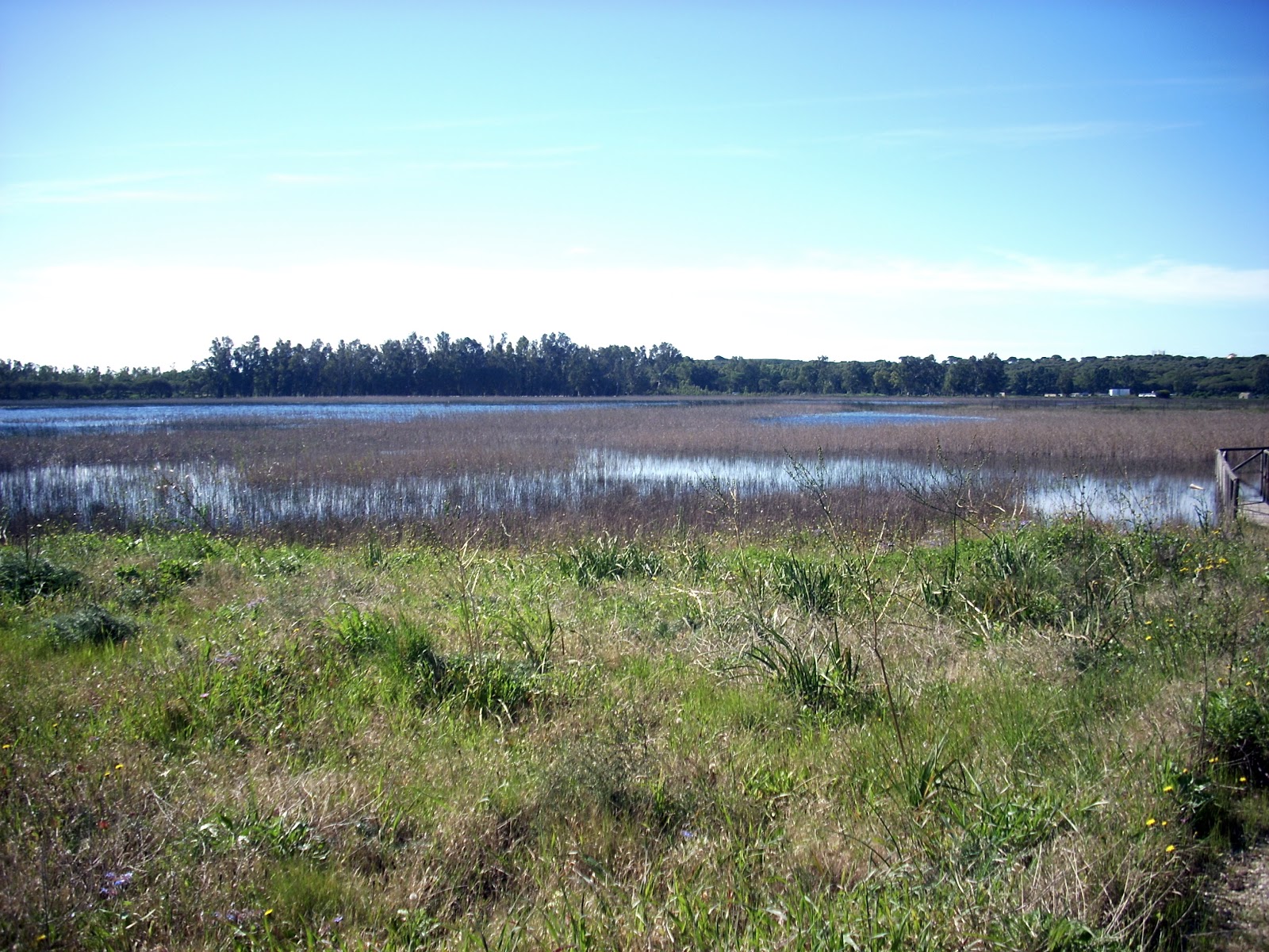 GEOBIODIVERSIDAD ANDALUZA SENDERO LAGUNA DE LA PAJA
