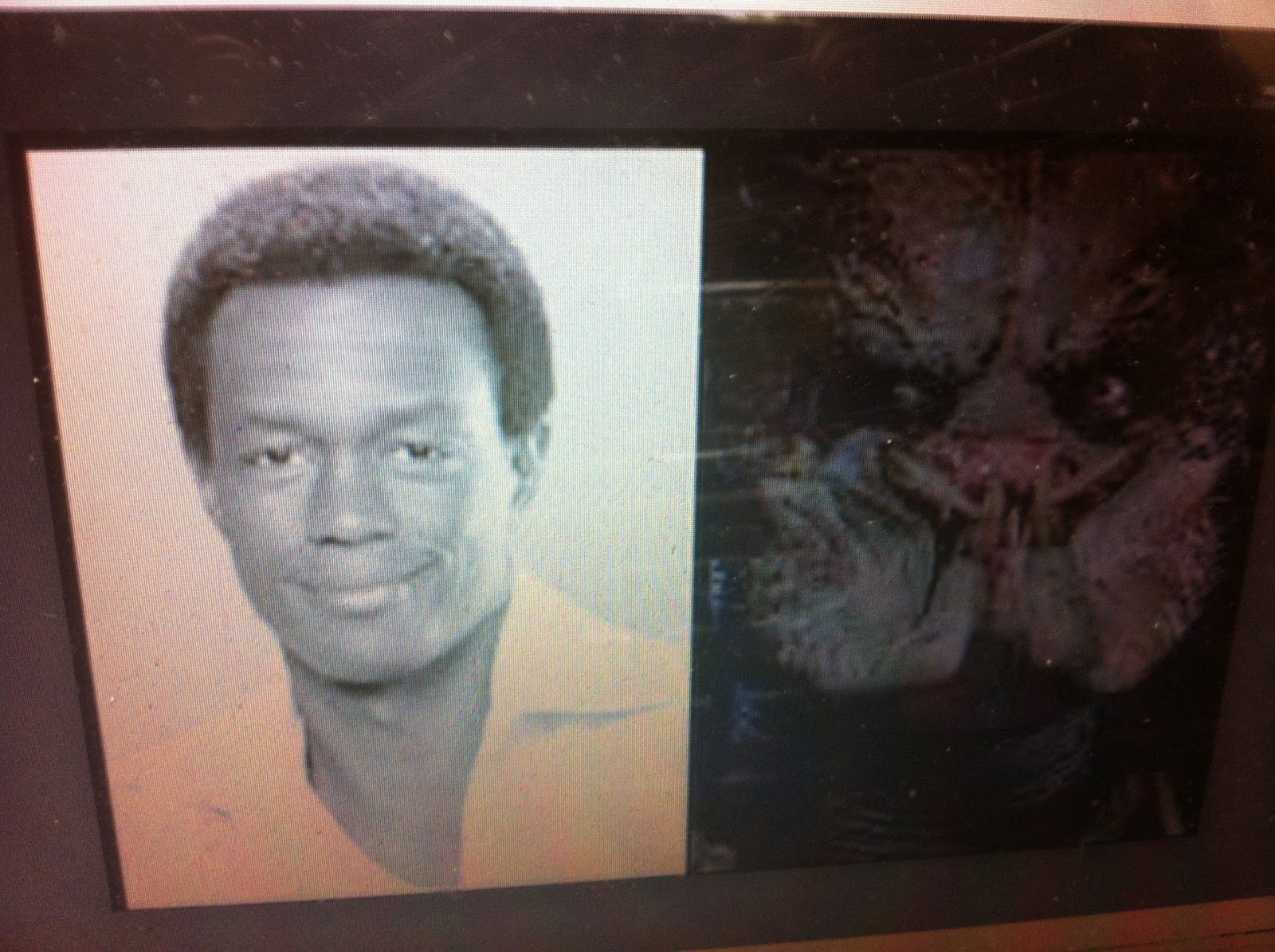 Kevin Peter Hall How Did He Die THE BLACK SOCIAL HISTORY:: BLACK SOCIAL HISTORY : AFRICAN AMERICAN