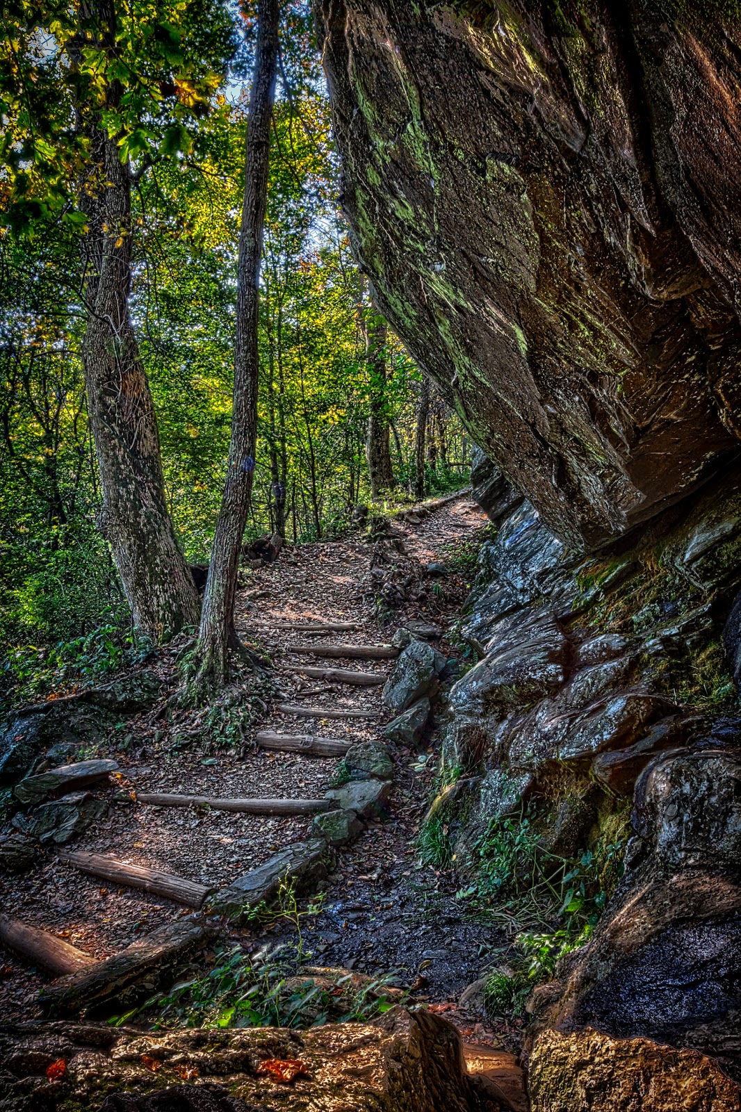 Cedar Run White Oak Circuit