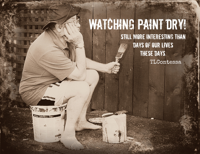 Like watching paint dry paint a grim. Like watching paint dry paint a grim. Paint the town red idiom. Drying paint watcher. Drying paint watcher.