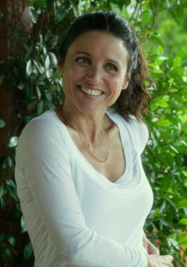 DVD & BluRay ENOUGH SAID Starring James Gandolfini and Julia Louis