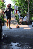 Hilarious Cat GIF • "Dragging the Cat In. When your cat doesn't want to go home, hahaha!