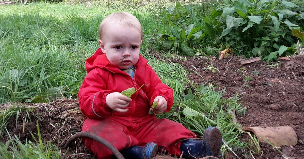 An English Homestead Eating Mud