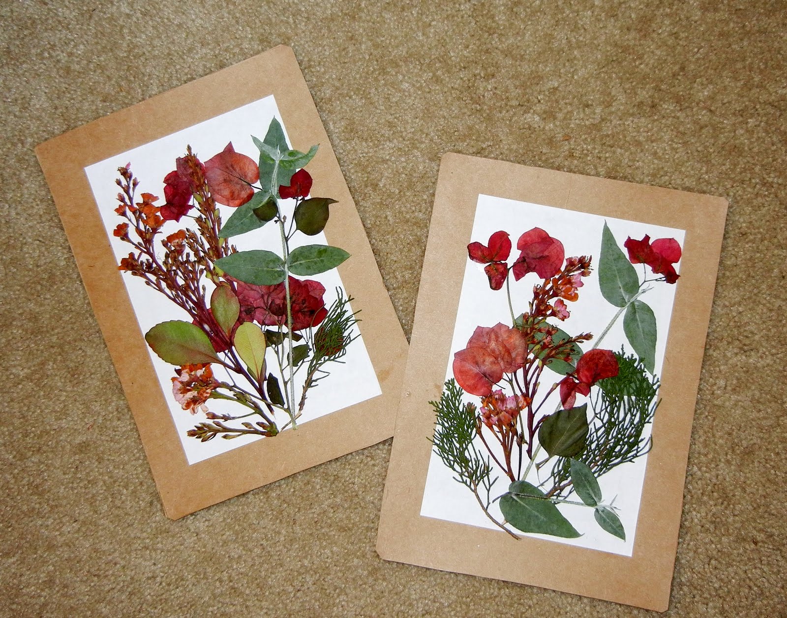 A photo, A thought............ Passion Pressedflower craft.........