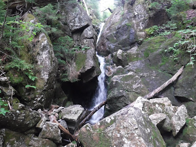 Elephat Head Brook's Fleming Falls, Crawfrod Notch, NH