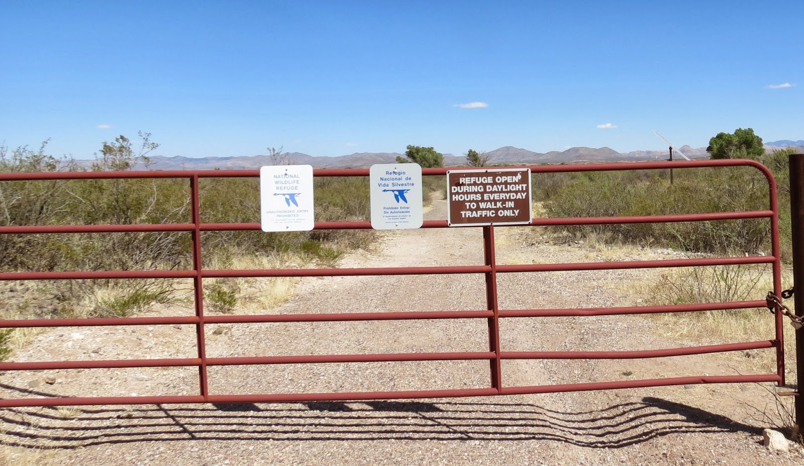 Where's Liz? 2014: Slaughter Ranch, San Bernadino and Leslie Canyon ...
