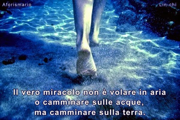 Frasi Sul Cammino Insieme