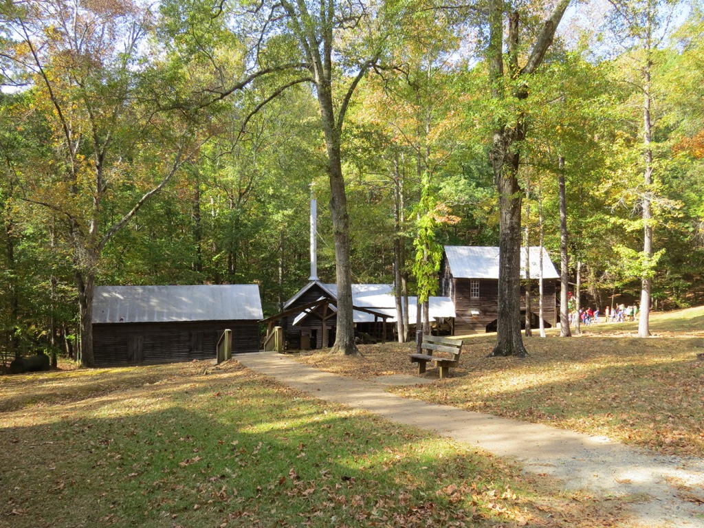 goldenshoe RV trip Jarrell Plantation State Historic Site