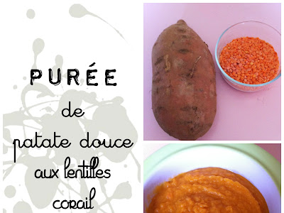 コンプリート！ recette patate douce bébé 15 mois 256805