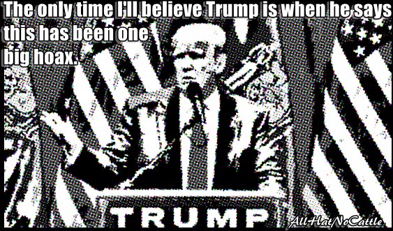 trump-hoax.jpg