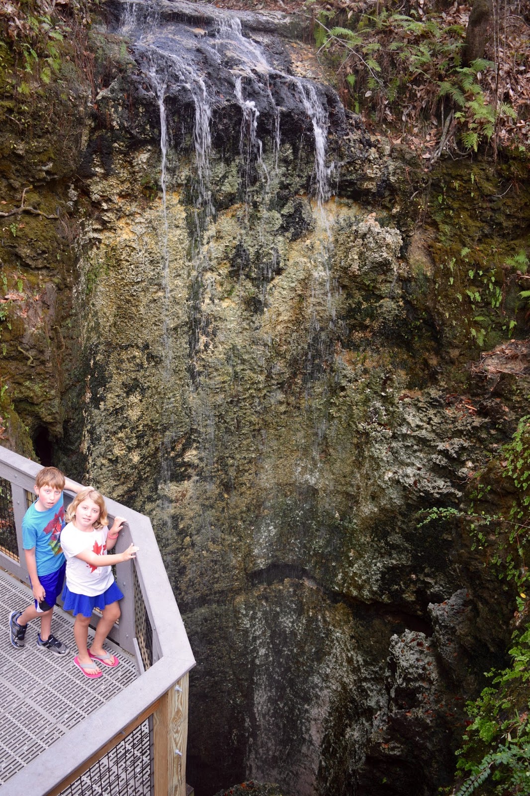 Shanna's Adventures Falling Waters State Park