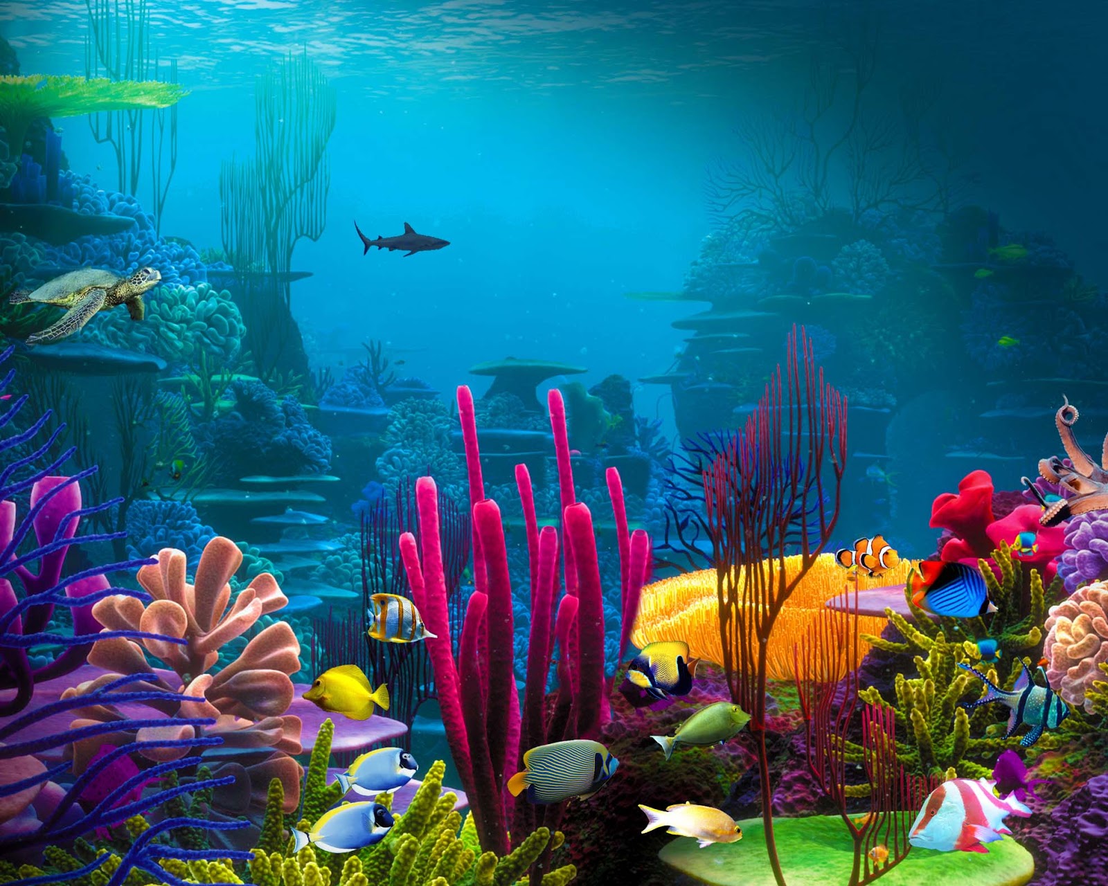 Jerdee's Art Classes: Digital Art - Underwater Ocean Scene