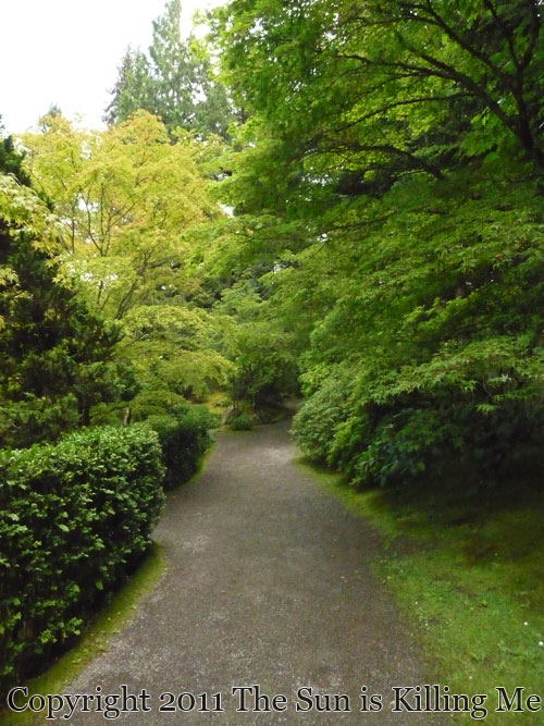 The Sun is Killing Me: Seattle Japanese Garden
