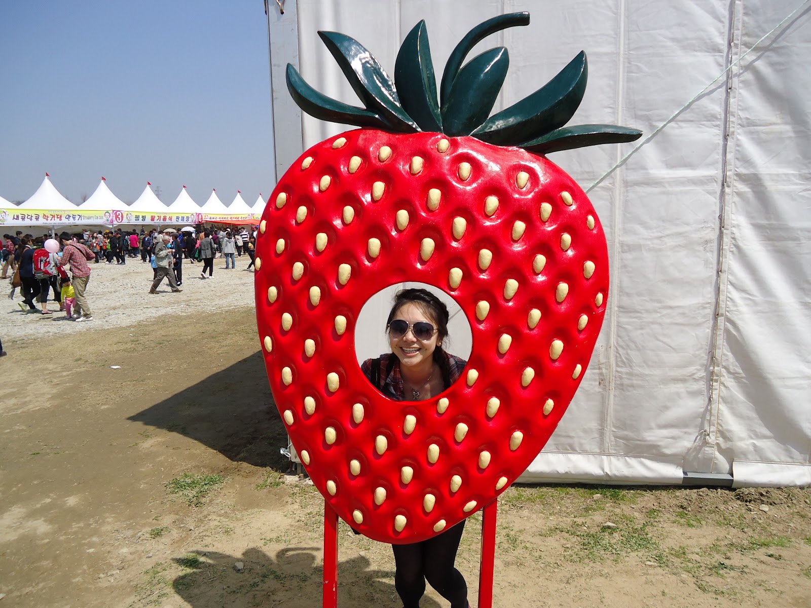 KRISTINE IN KOREA Nonsan Strawberry Festival