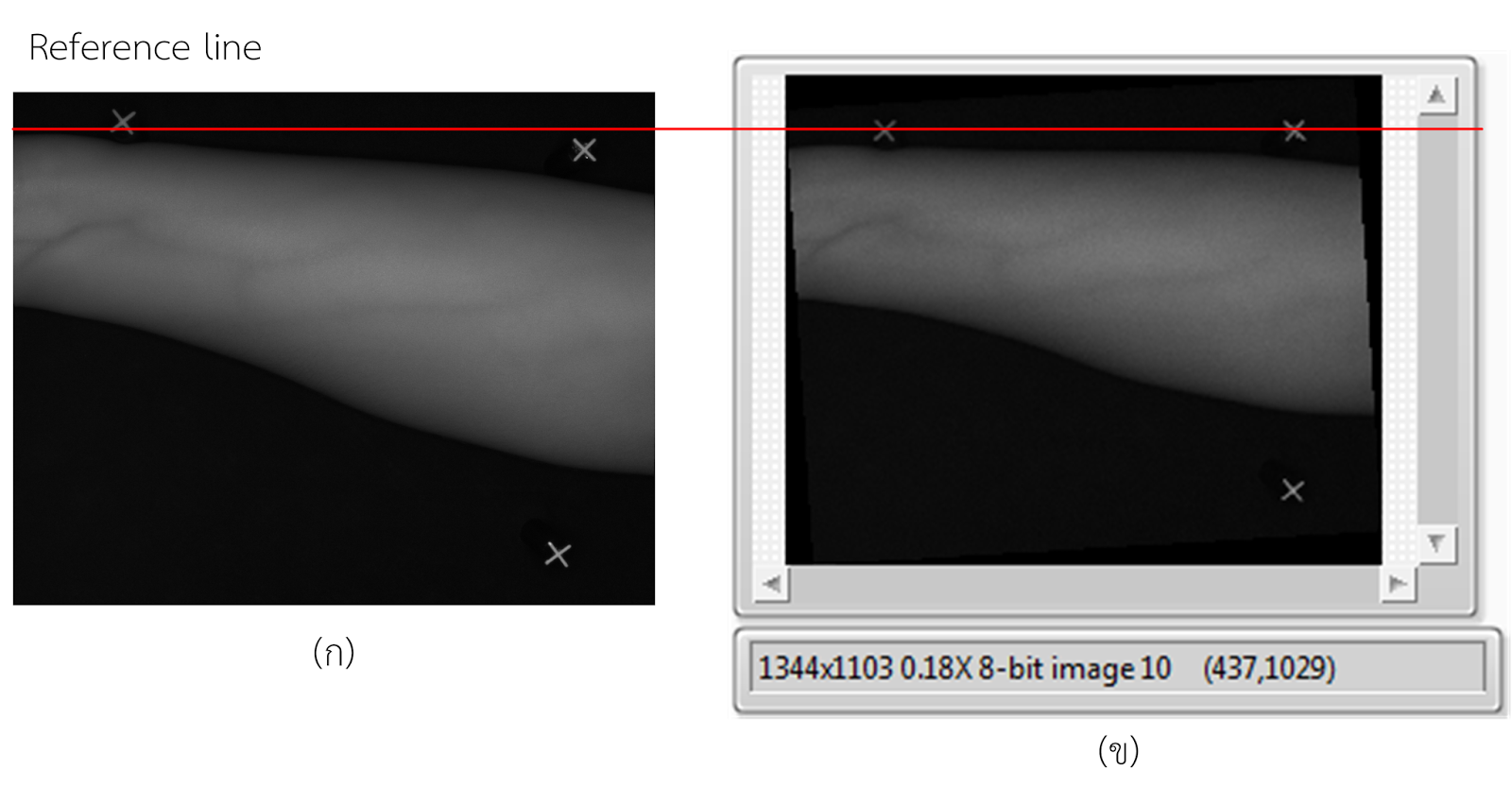 Auto Image rotation by LabVIEW