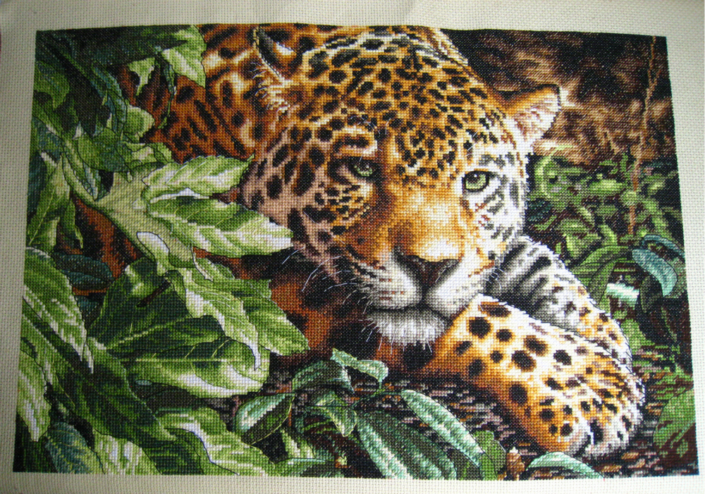 Вышивка крестом схемы леопардов. Дименшенс леопард 35300. Леопард от Дименшенс. Дименшенс леопард на отдыхе. Дименсионс вышивка леопард.