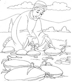 Parábola Buen Sembrador Parábola Buen Sembrador