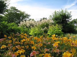 L'été en fleurs à Québec