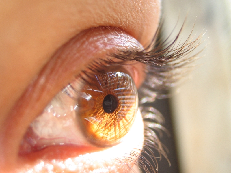 What are the Causes and Cures for Eye Twitching? Wondering Things