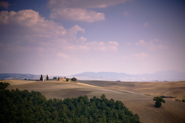 Colline marchigiane