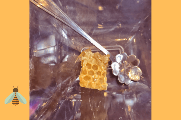 raw honey comb with flower spoon