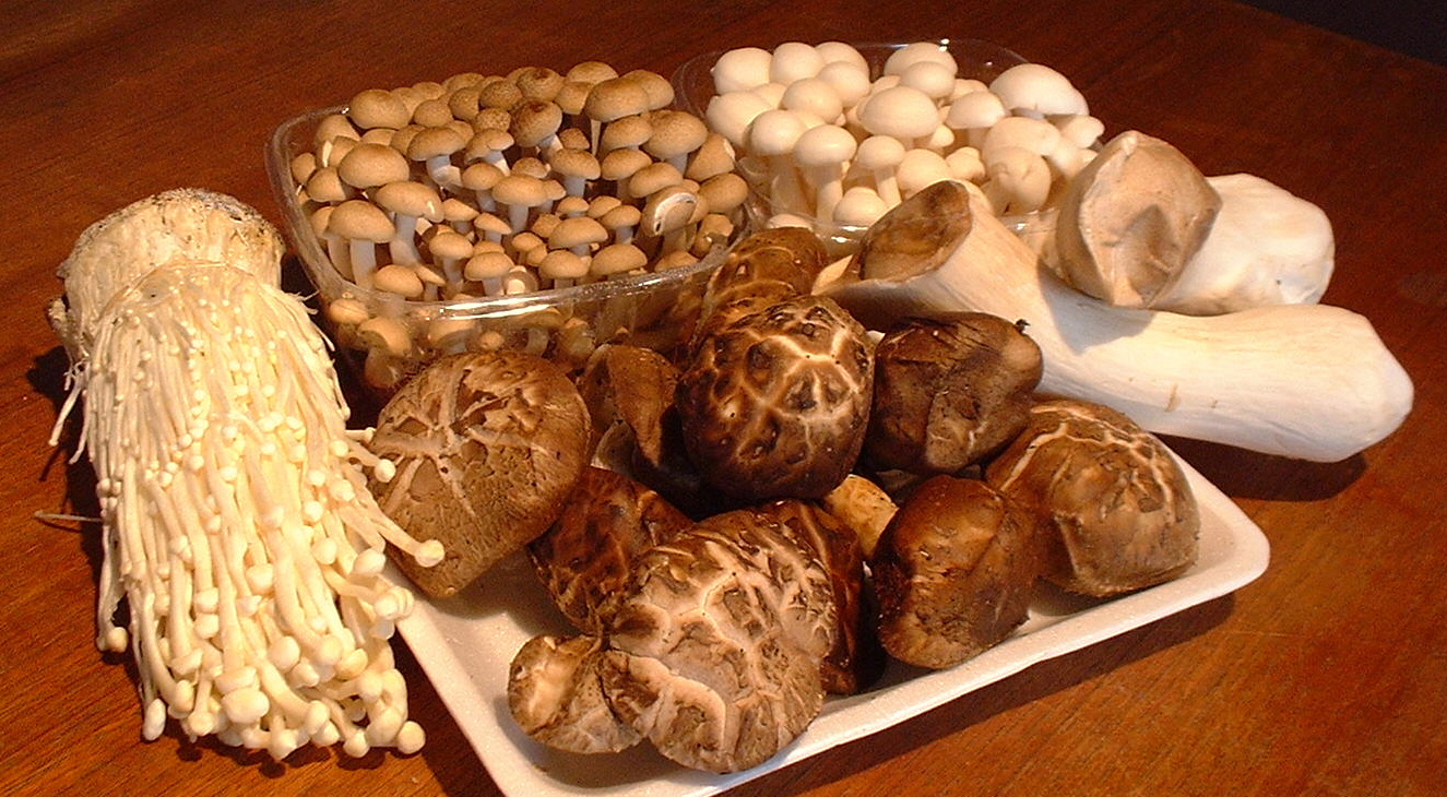 Spécial champignons japonais!