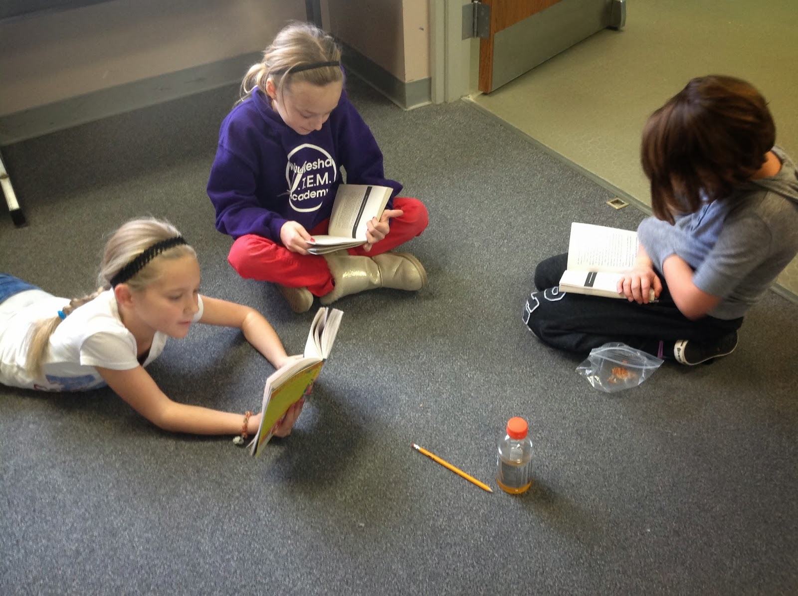 Emily & Faith Danielson 3b Using Questions and Discussion Techniques