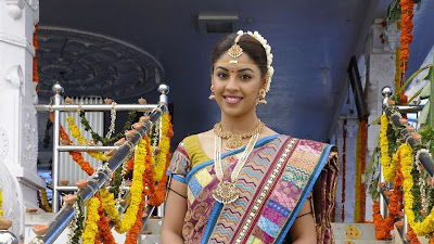 Ethnic Dress Meaning In Hindi