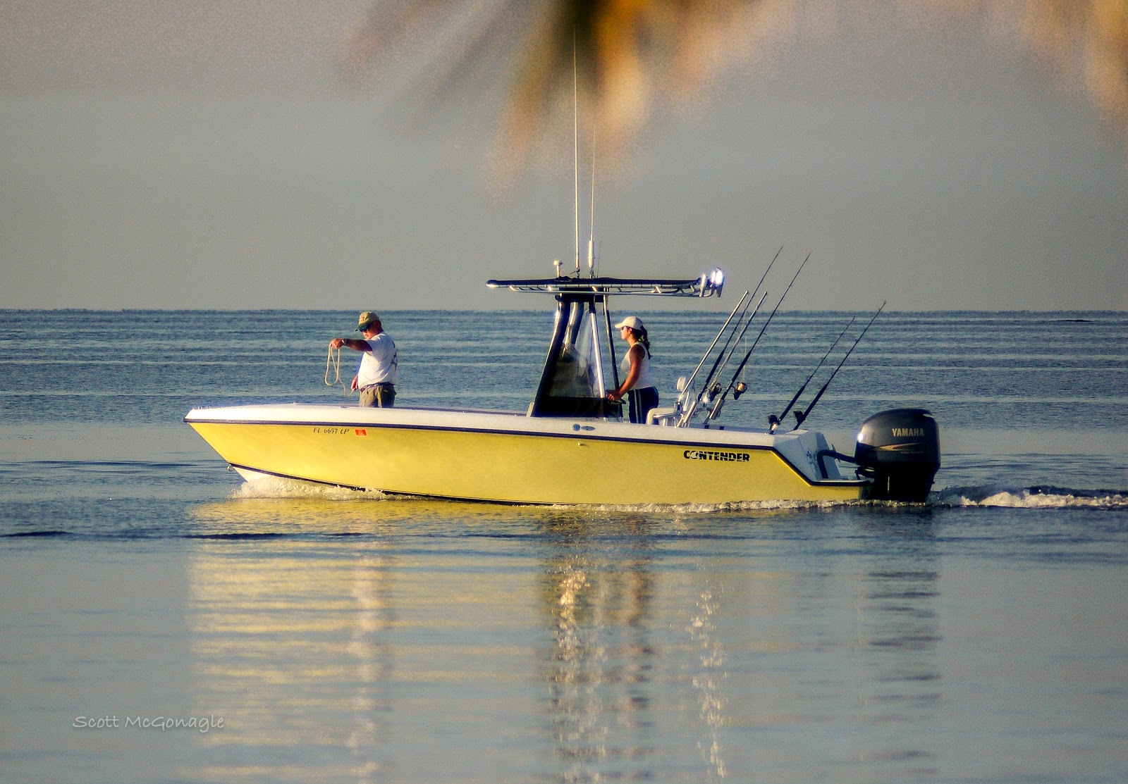 Matheson Hammock Marina, Boats, Fishing