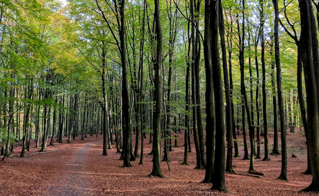 Damaris Liest Mini Sachbuch Raus In Die Natur Mein Outdoor