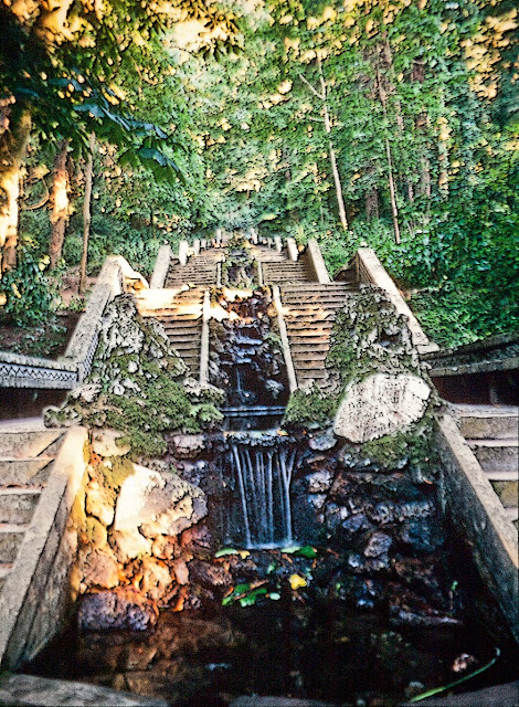 La Fuente Fría en la Mata do Buçaco, Portugal por El Guisante Verde Project