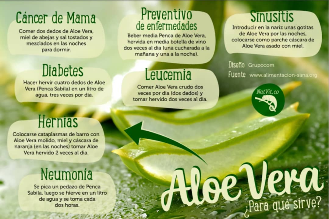 PROPIEDADES Y BENEFICIOS DEL ALOE VERA