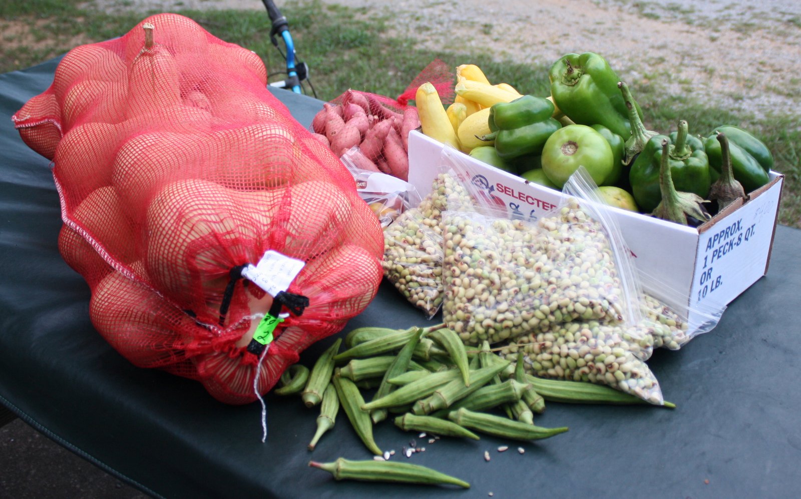 Mitchells on the trail Amish Produce Auction