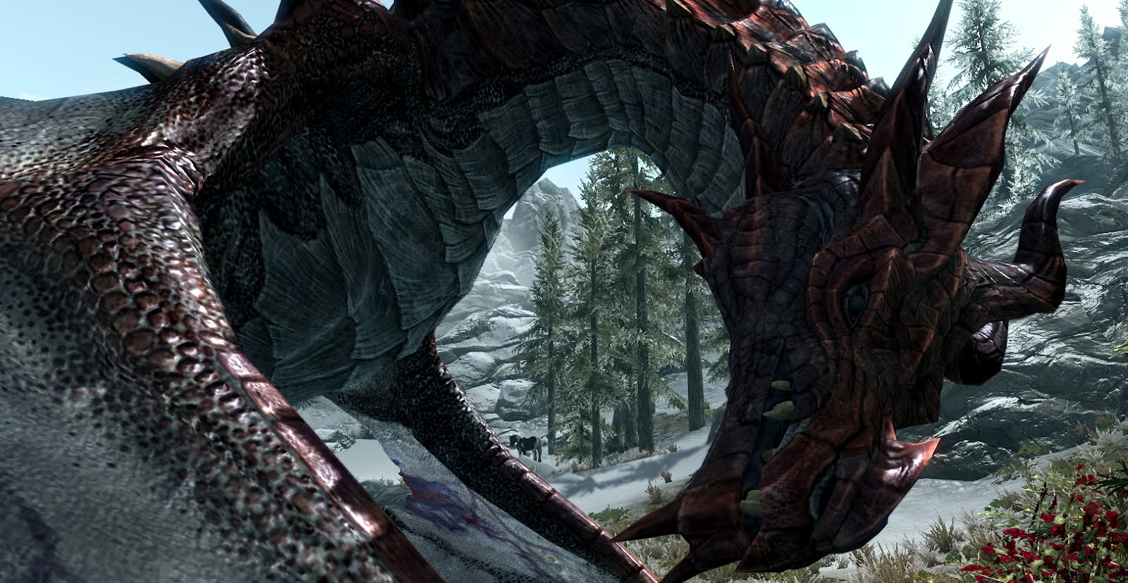 The Ninja Chronicles of AK: The Skyrim Dragons Named
