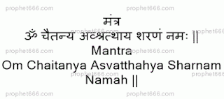  A Mantra for the worship of the Sacred Fig or Asvattha Tree