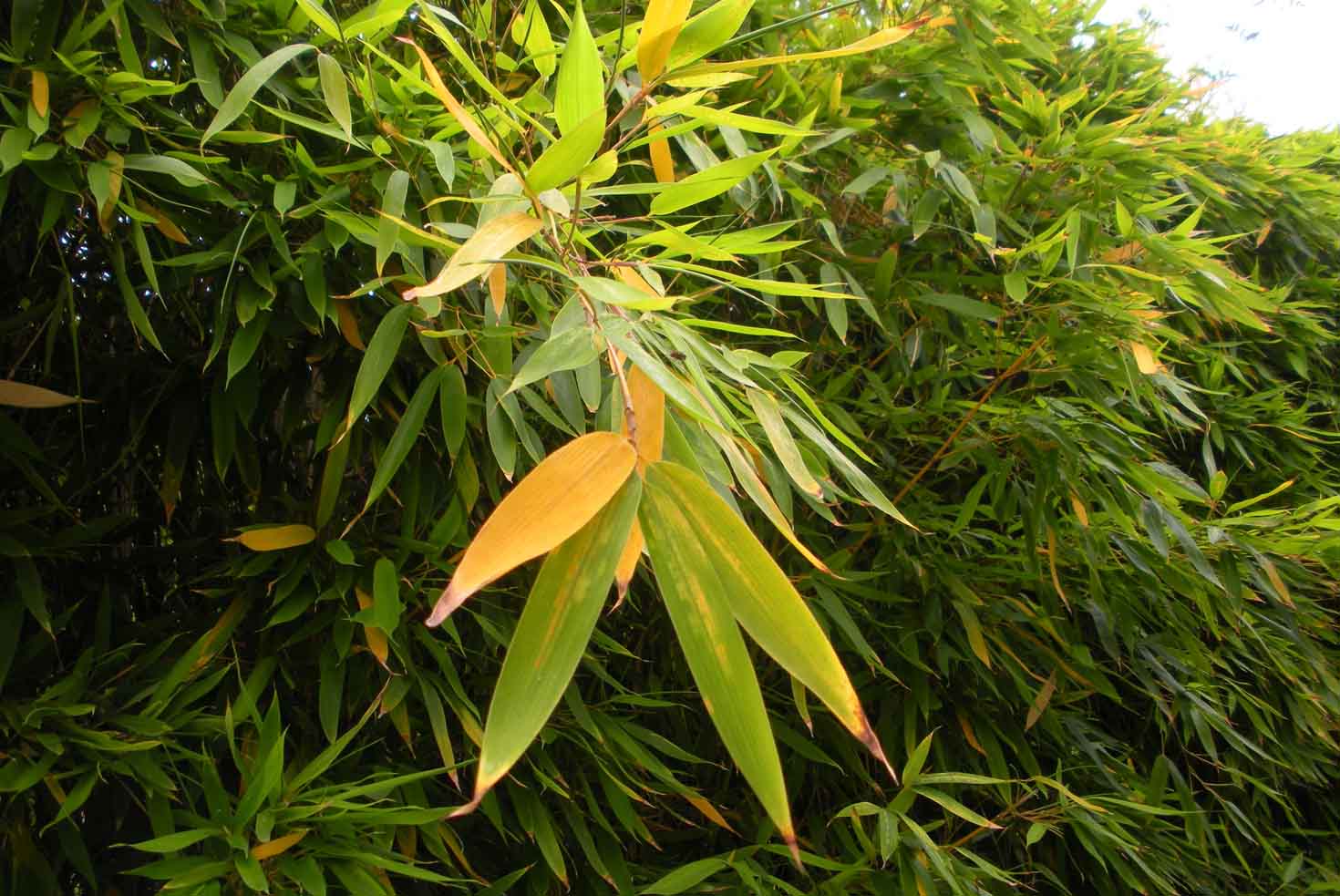 Photo Essays Toxic Urban Landscapes Air Pollution Climate Change