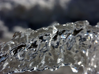 Creative Commons Image