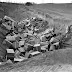 LOVE CANAL TRAGEDY