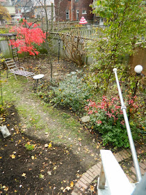 Toronto garden cleanup Annex Paul Jung Gardening Services west side after