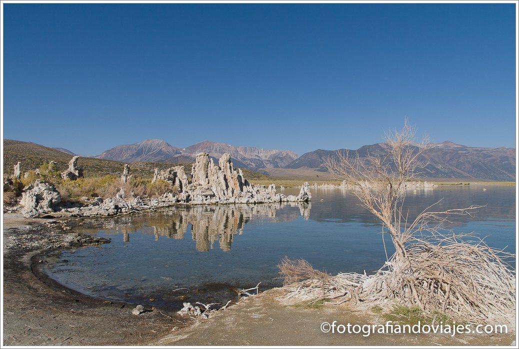 formaciones Mono lake o Lago Mono