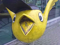 Okologie Astrodicticum Simplex