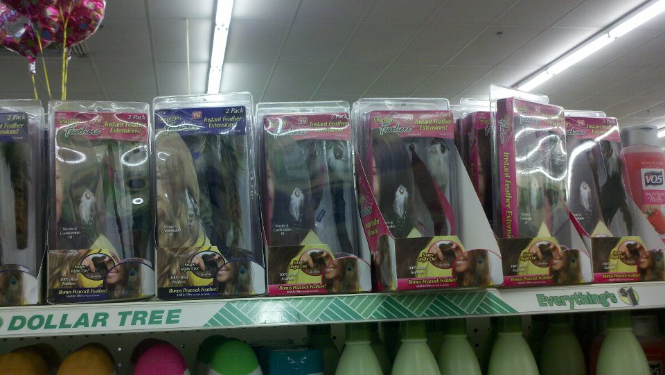 Shannon's Eye on Beauty SPOTTED SnapOn Feathers Dollar Tree