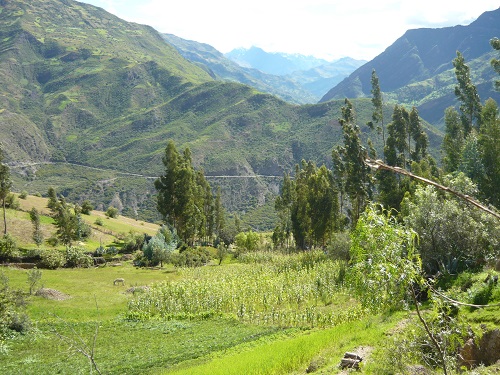 poblado tarapampa