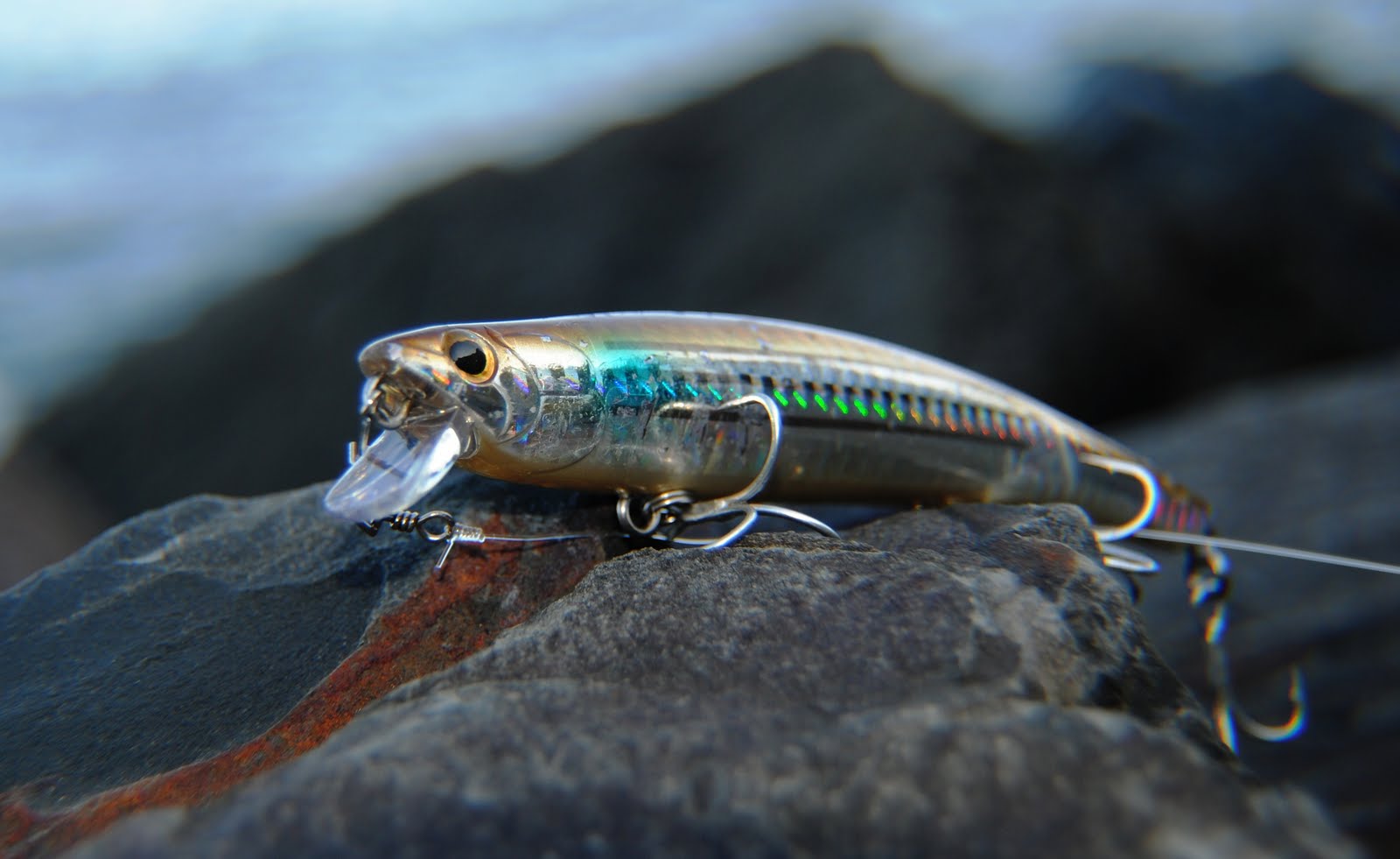 Graham Hill Modern Bass fishing 2021 Cornwall Lure Compertition Report