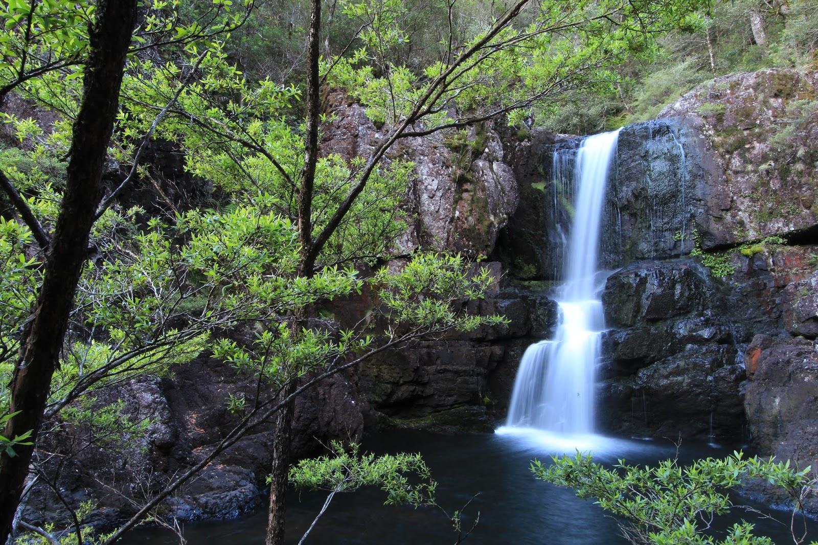 awildland Gloucester Falls Barrington Tops National Park