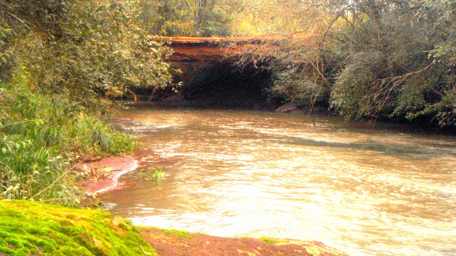 TRABAJO GRUPAL DE INFORMATICA CESMA Arquitecto Tomás Romero Pereira