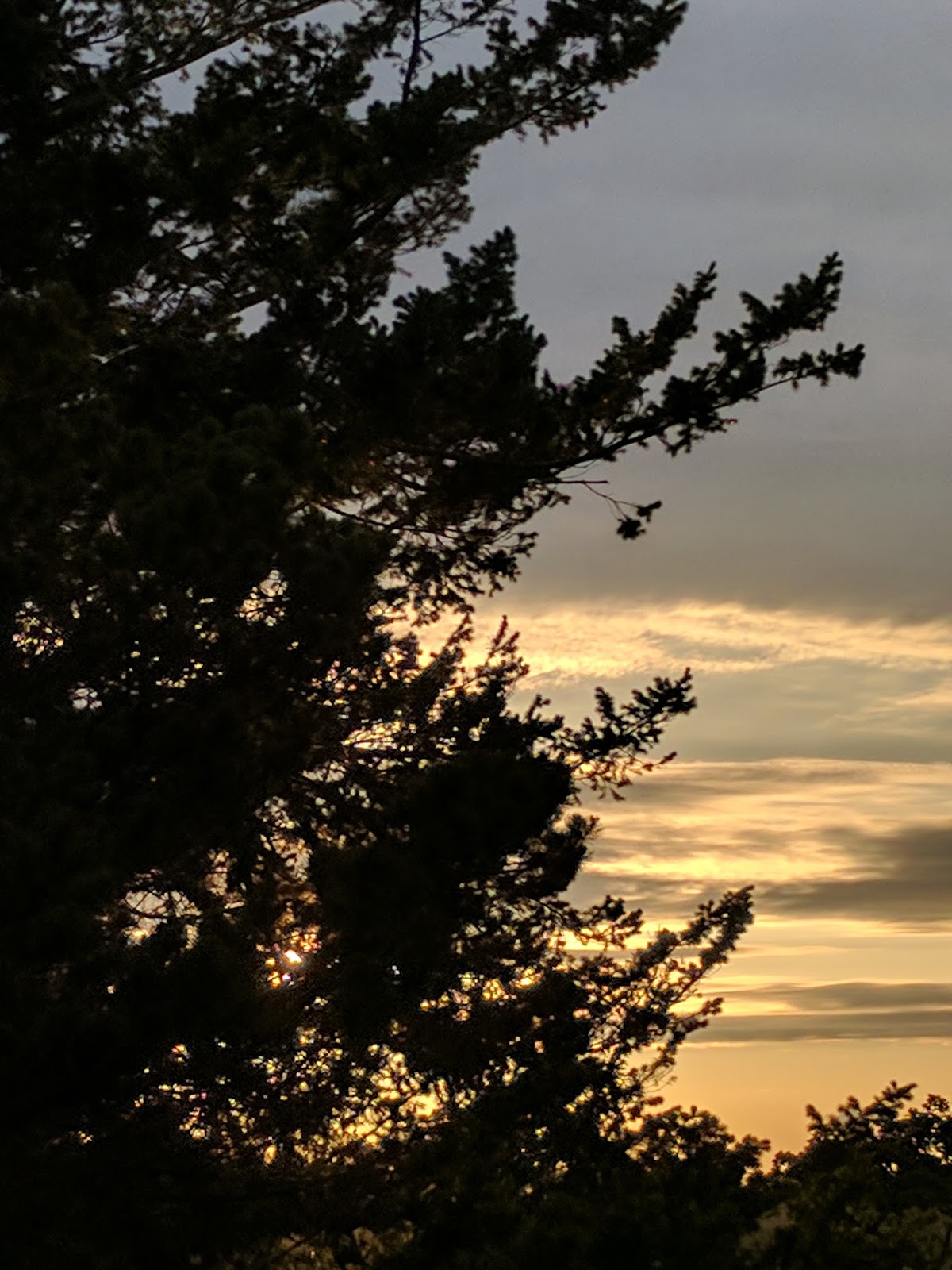 Haiku A Day May 2017